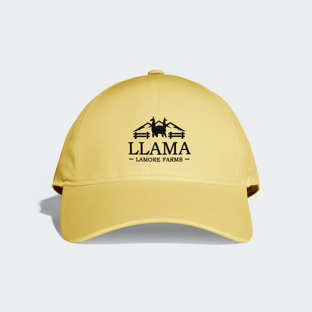 Cap-Llama-LaMore